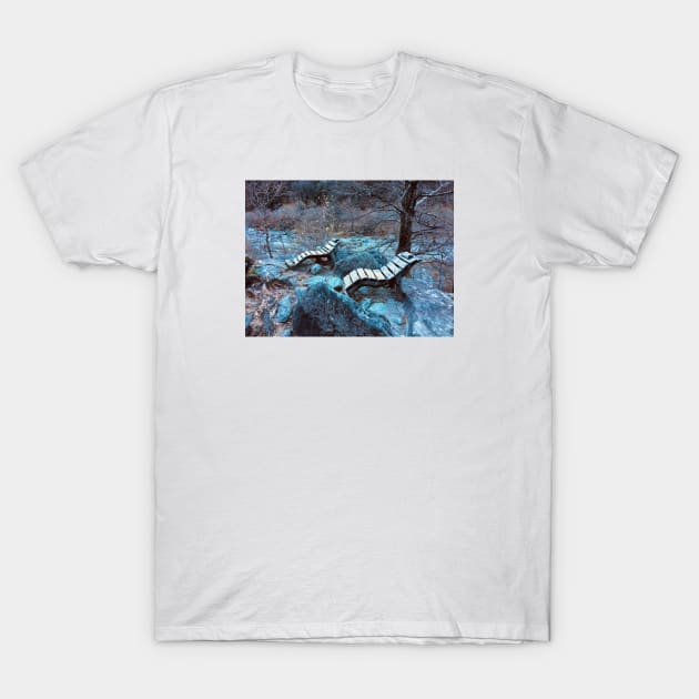 Togetherness / Swiss Artwork Photography T-Shirt by RaphaelWolf